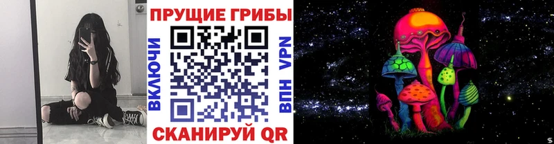 Псилоцибиновые грибы мухоморы  цены   Советск 